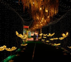 Event Lighting & Decorative Glow Rentals