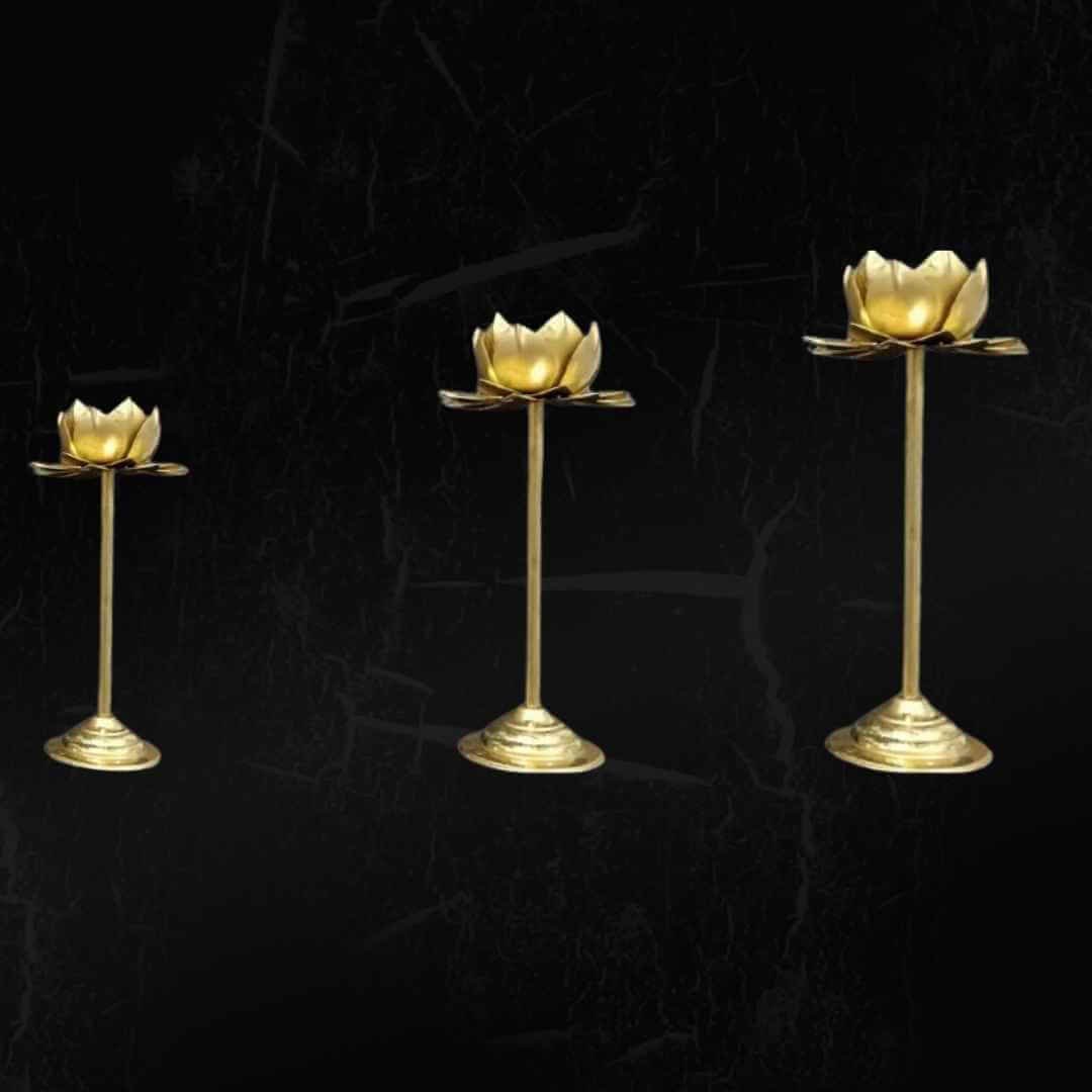 Lotus Stand rental in coimbatore