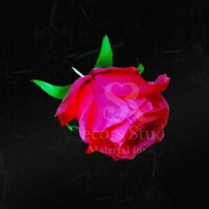 Dark Pink Rose