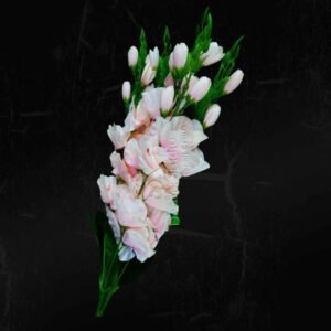 Light Pink Gladiolus