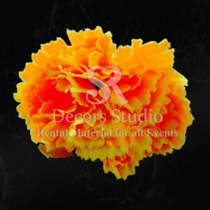 Orange Carnation