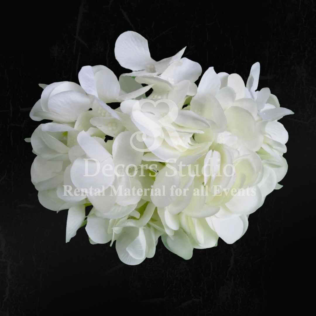 White Hydangea