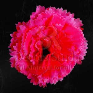 Dark Pink Carnation