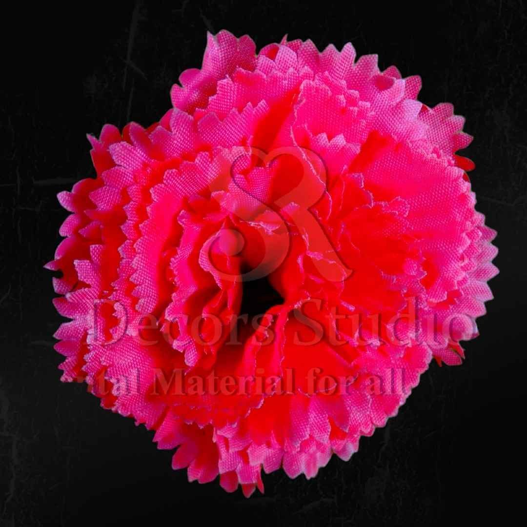 Dark Pink Carnation