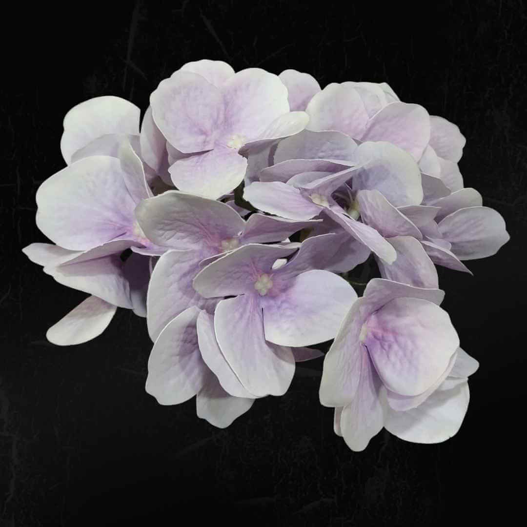 Light Blue Hydrangea