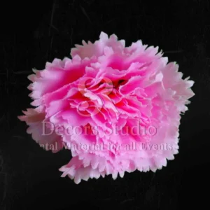 Light Pink Carnation