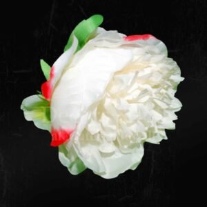 Off White Peony
