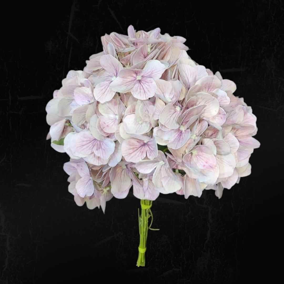 Pink Hydrangea