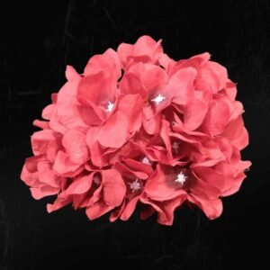 Red Hydrangea