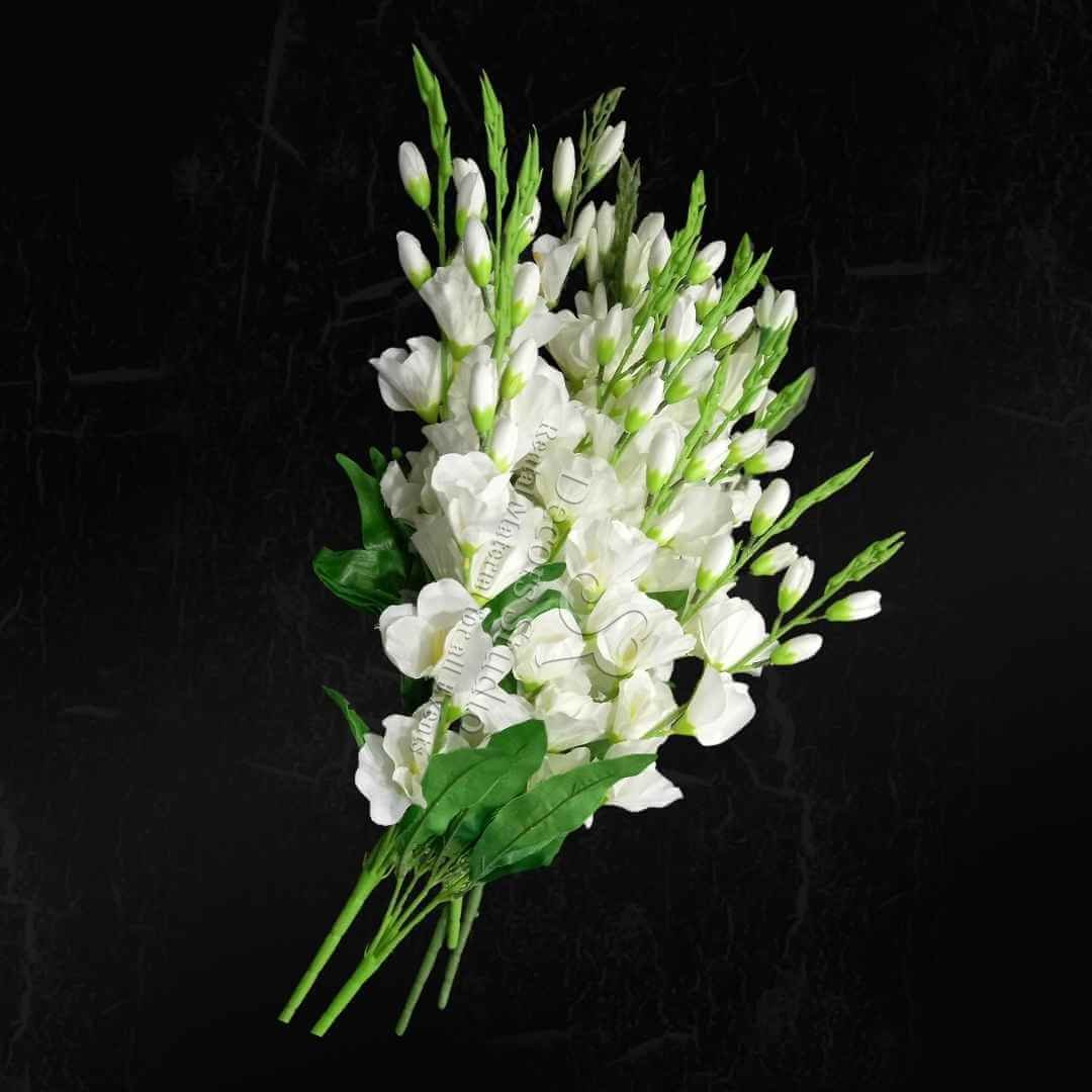 White Gladiolus